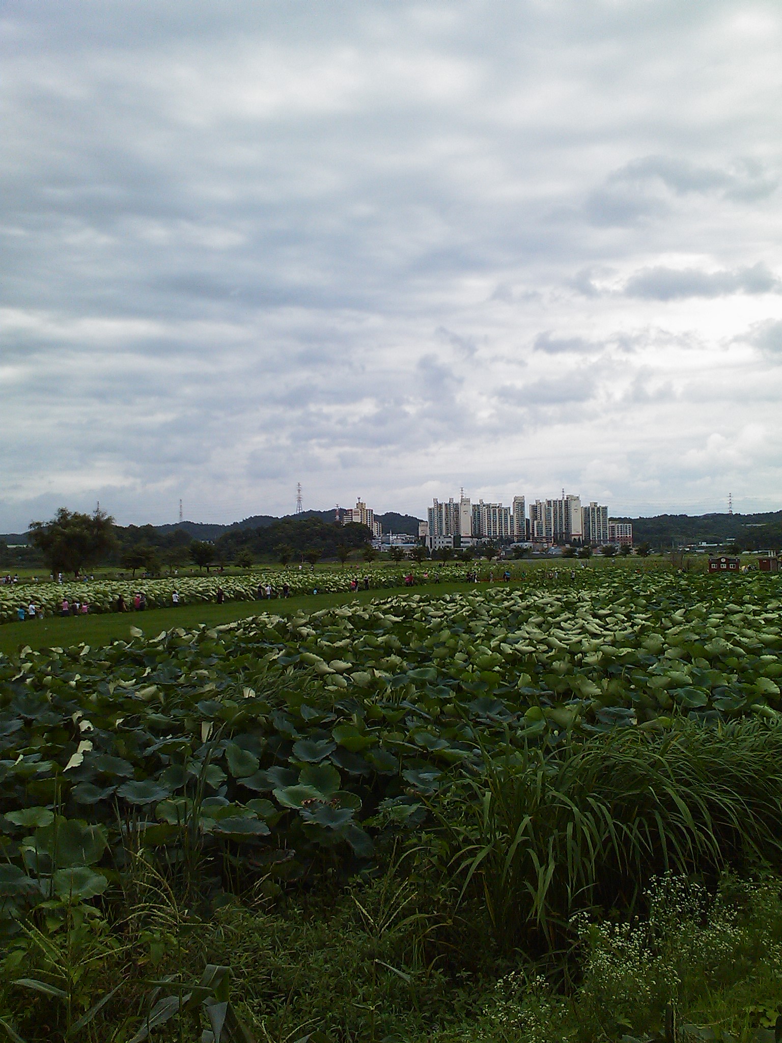 사용자 삽입 이미지