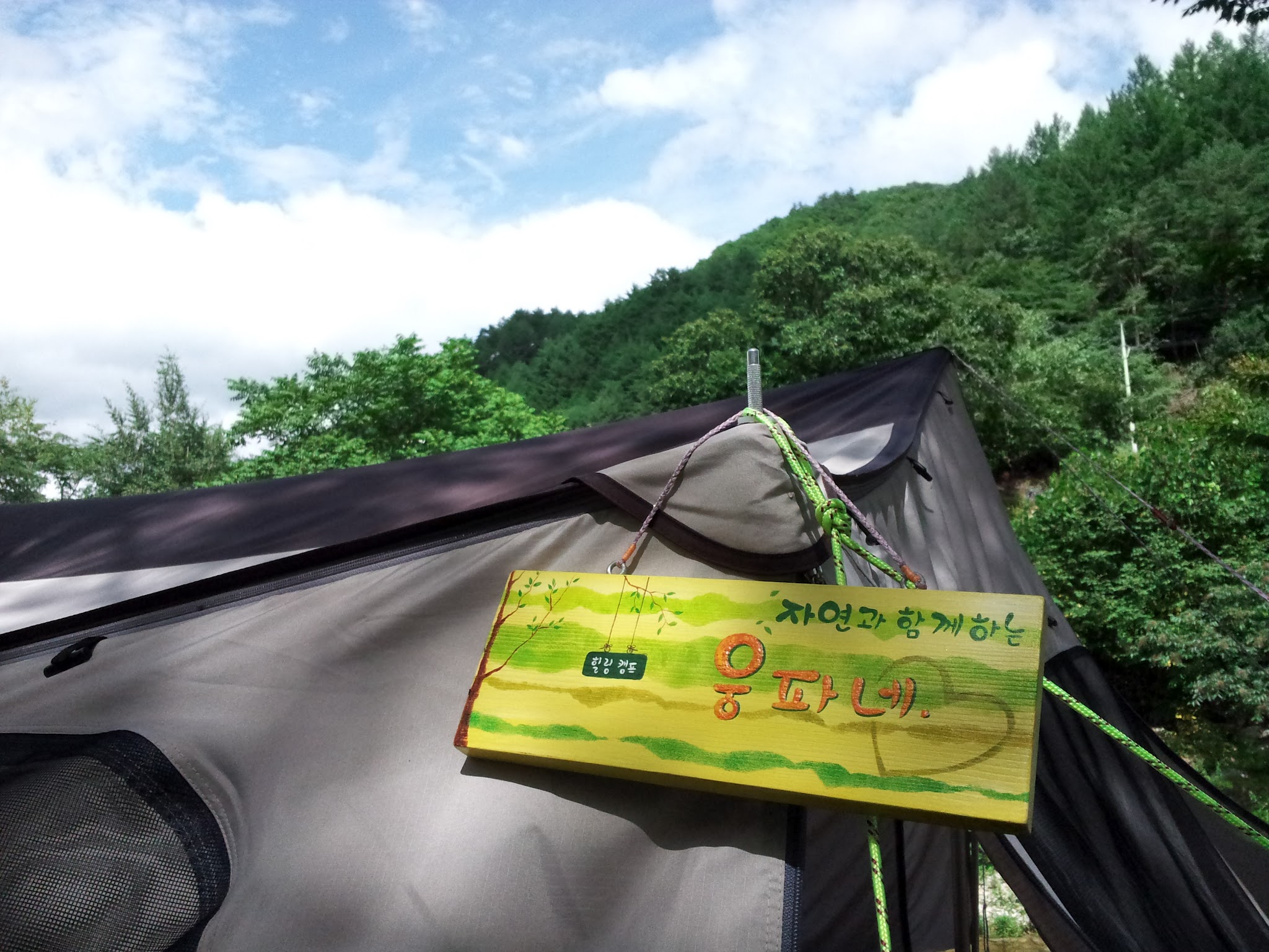 사용자 삽입 이미지